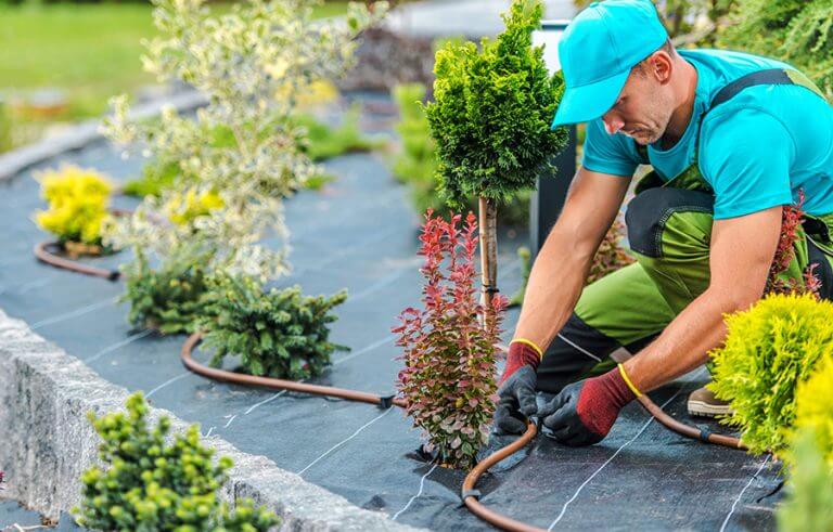 pay per lead for landscaping